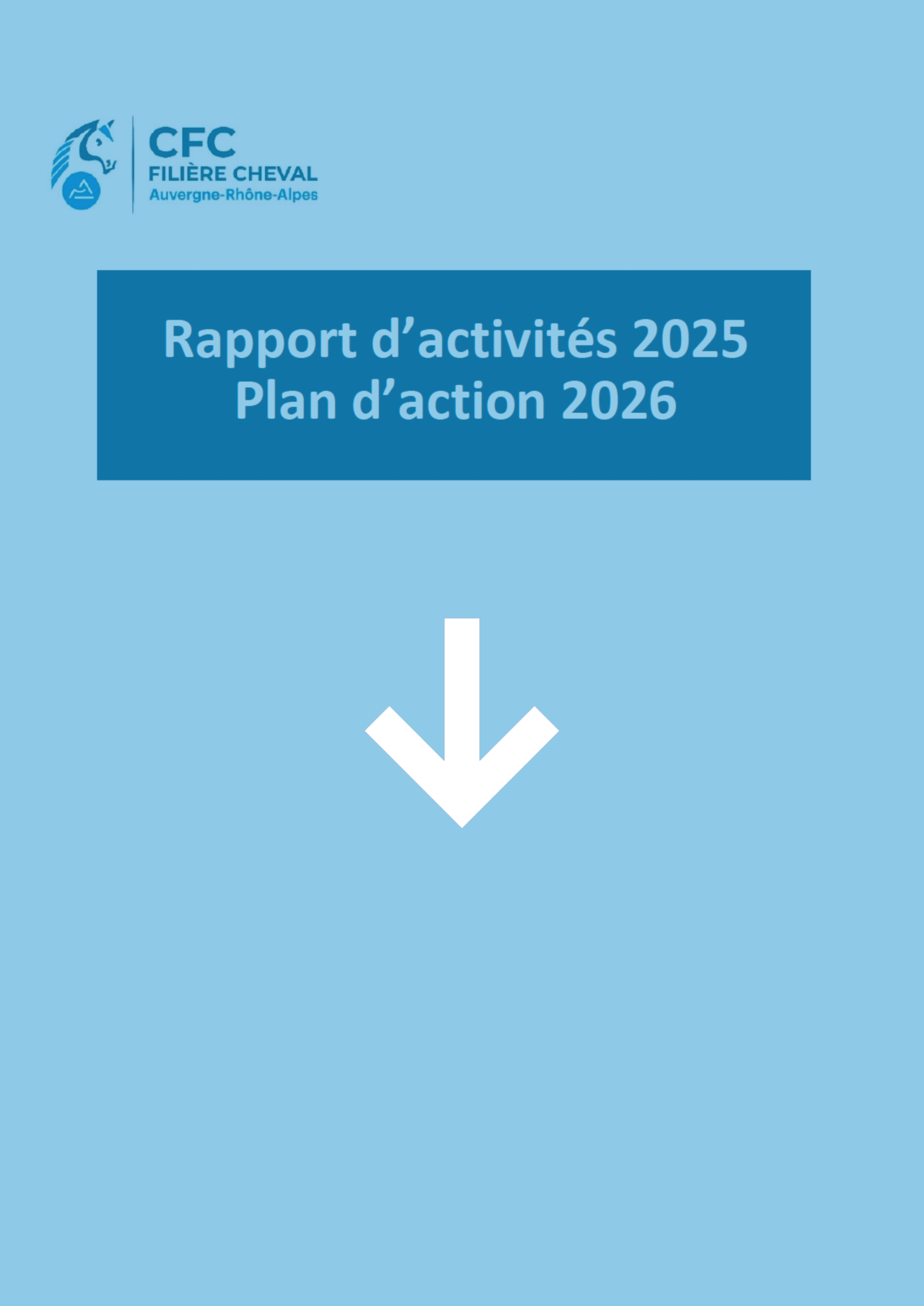 Rapport d'activités 2026 et plan d'action 2026